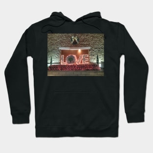 LOVE is in the Air Hoodie